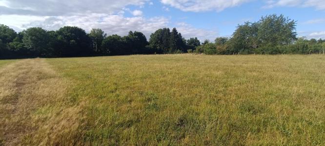 For sale Luxeuil-les-bains 9159 m2 Haute saone (70300) photo 4