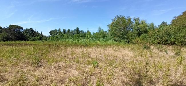 For sale Castelnaudary 428 m2 Aude (11400) photo 0
