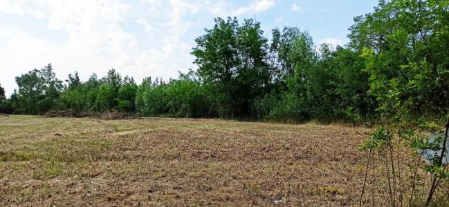 For sale Castelnaudary 428 m2 Aude (11400) photo 1