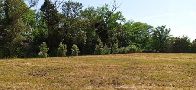 For sale Castelnaudary 428 m2 Aude (11400) photo 2