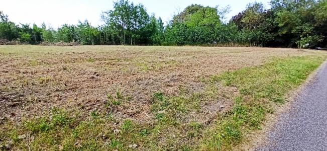 For sale Castelnaudary 428 m2 Aude (11400) photo 3