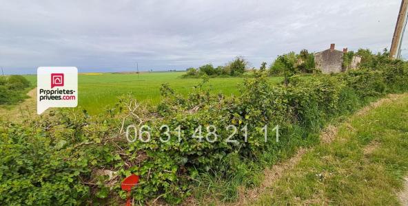 Annonce Vente Terrain Montreuil 85