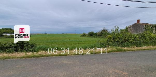 Acheter Terrain 3243 m2 Montreuil