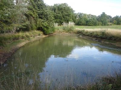 For sale Lureuil 3220 m2 Indre (36220) photo 0