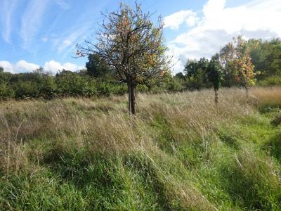 Annonce Vente Terrain Lureuil 36