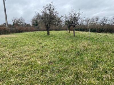 Acheter Terrain 3220 m2 Lureuil