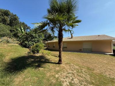 Annonce Vente 5 pices Maison Aire-sur-l'adour 40