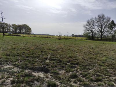 Acheter Terrain 1217 m2 Ygos-saint-saturnin