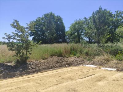 Acheter Terrain Ygos-saint-saturnin Landes