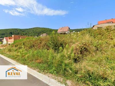 Annonce Vente Terrain Oberbronn 67