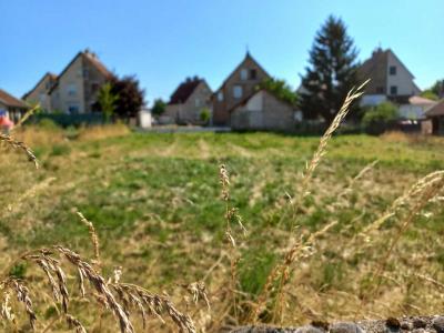 Annonce Vente Terrain Ciry-le-noble 71