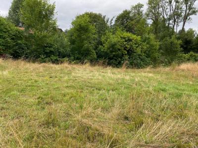 Annonce Vente Terrain Amenucourt 95