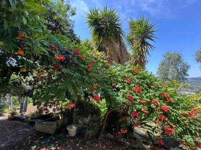 Annonce Vente 4 pices Maison Nice 06