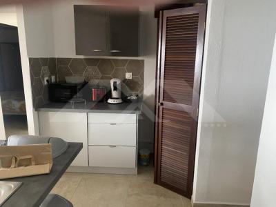 Louer Appartement 66 m2 Tampon