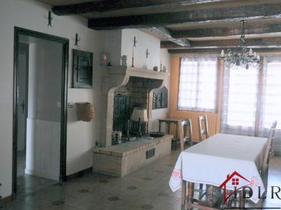 Acheter Maison 210 m2 Fayl-billot