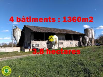 For sale Lurcy-levis 1360 m2 Allier (03320) photo 0