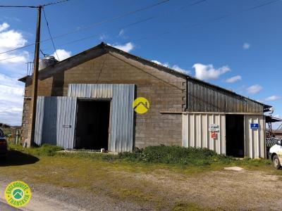 Annonce Vente Local commercial Lurcy-levis 03