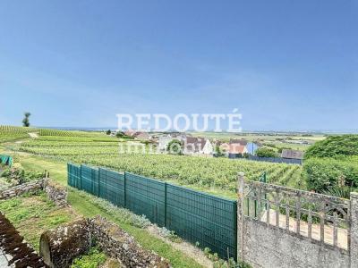Annonce Vente 4 pices Maison Ville-dommange 51