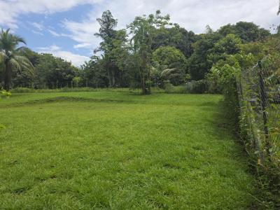 Annonce Vente Terrain Matoury 973