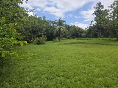 Acheter Terrain 1169 m2 Matoury