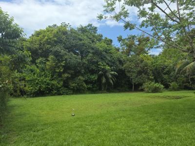 Acheter Terrain Matoury Guyane
