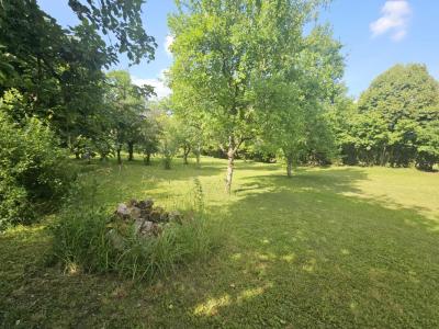 Acheter Terrain 2389 m2 Brieulles-sur-bar