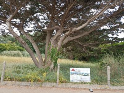 For sale Bernieres-sur-mer 495 m2 Calvados (14990) photo 1