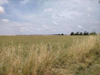For sale Saint-laurent-de-la-pree 485 m2 Charente maritime (17450) photo 0