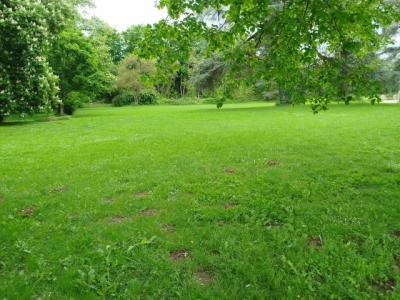 Annonce Vente Maison Pact 38