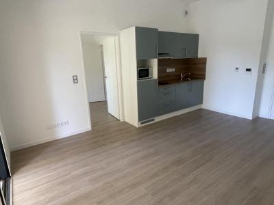 Acheter Appartement 39 m2 Geveze