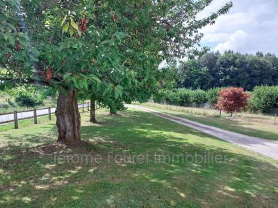 Annonce Location Maison Rosiers-d'egletons 19