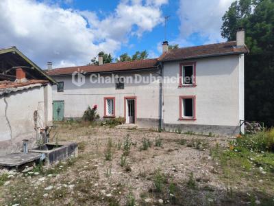 Annonce Vente 3 pices Maison Poncins 42