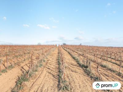 For sale Belarga 32767 m2 Herault (34230) photo 0