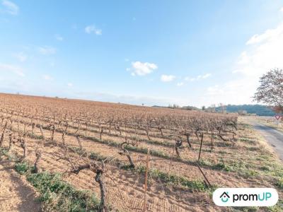 Annonce Vente Terrain Belarga 34