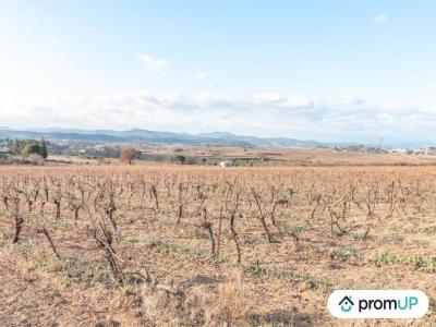Acheter Terrain Belarga 94000 euros