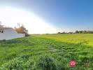 For sale Land Lagord 567 m2