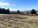 Vente Terrain Violay  1030 m2
