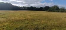 For sale Land Luxeuil-les-bains 9159 m2