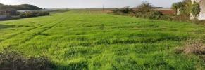 For sale Land Montreuil  3243 m2