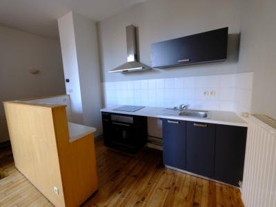 For rent Saint-etienne 2 rooms 57 m2 Loire (42000) photo 0