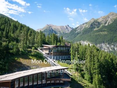 Annonce Vente Local commercial Orres 05