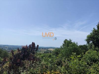 For sale Villefranche-de-rouergue 7 rooms 166 m2 Aveyron (12200) photo 2