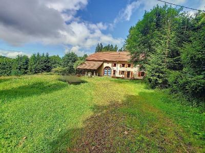 For sale 5 rooms 140 m2 Vosges (88210) photo 0