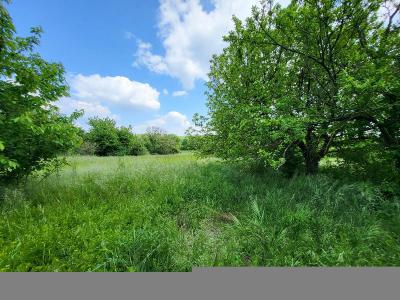 For sale 3014 m2 Charente maritime (17330) photo 4