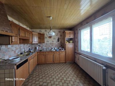 For sale Isle-sur-le-doubs 5 rooms 82 m2 Doubs (25250) photo 3