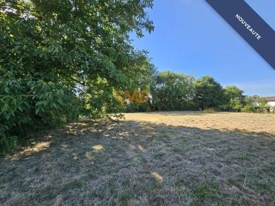 Annonce Vente Terrain Ecoyeux 17