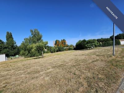 Acheter Terrain Ecoyeux Charente maritime