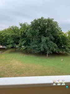 For rent Vandoeuvre-les-nancy 2 rooms 20 m2 Meurthe et moselle (54500) photo 4