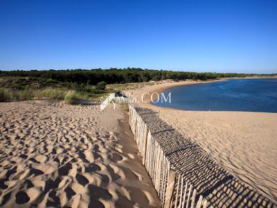 For sale Bretignolles-sur-mer 614 m2 Vendee (85470) photo 3