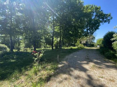 Acheter Prestige 311 m2 Saint-sornin-lavolps